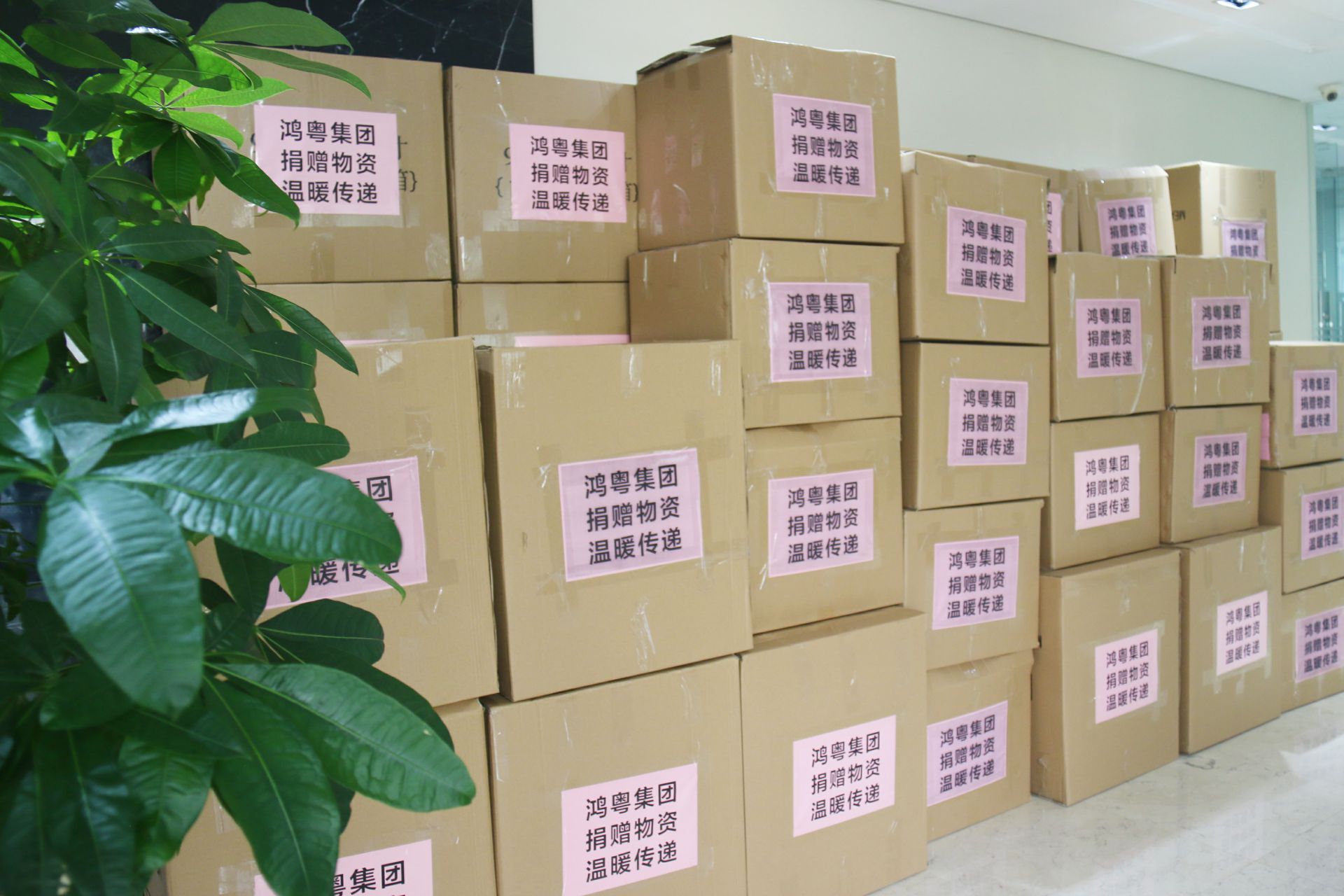 星空官方端网站·星空登陆入口-星空(中国)公益回顾丨家国同欢月同圆 温暖满载甘孜州(图1)